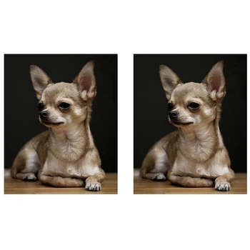 2X מלא עגול היהלום רקמה צ ' יוואווה,5D יהלום ציור,כלב מחמד חמוד יהלום תמונה של אבני חן עיצוב הבית