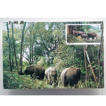 הפיל האסייתי Menghai הדואר גלויה גיליון קיצוני 1995-11 חותמת סט של 2 מלא ביום הראשון נופי חותמת רשמית