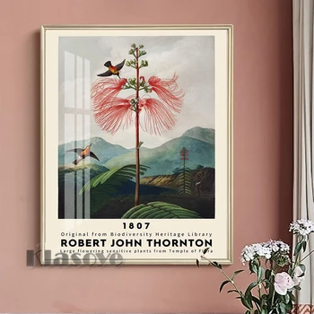רוברט ג ' ון תורנטון רטרו פוסטר גדול-פריחת הצמח רגיש מבית המקדש של פלורה בד הציור ספריית קיר בעיצוב